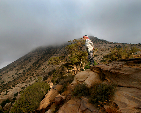 Reserva de la Biosfera de Dana y Feynan 