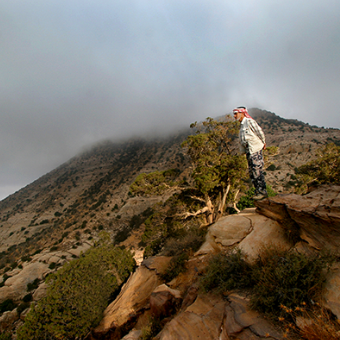 Reserva de la Biosfera de Dana y Feynan 
